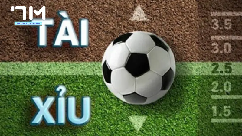 Kèo Tài Xỉu 2 1/4 Là Gì? Cách Tính 2.25 2 Kèo tài xỉu 2 ¼ là sao?